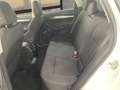 Skoda Karoq 1.6TDI AdBlue Ambition Blanco - thumbnail 21