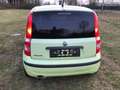 Fiat Panda 1.2 8V Dynamic mit LPG - Gasanlage Navi Alu Vert - thumbnail 9