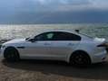 Jaguar XE XE P300 AWD Aut. Sport Weiß - thumbnail 21