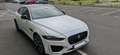 Jaguar XE XE P300 AWD Aut. Sport Weiß - thumbnail 13