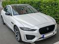 Jaguar XE XE P300 AWD Aut. Sport Weiß - thumbnail 1