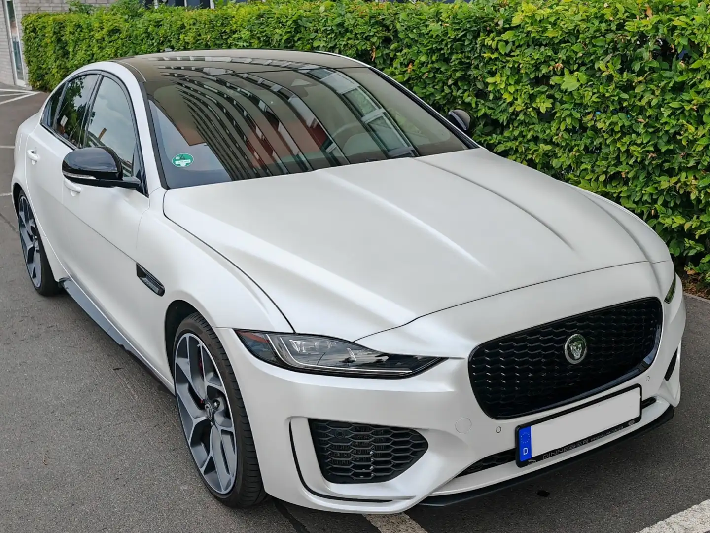 Jaguar XE XE P300 AWD Aut. Sport Weiß - 1