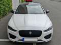 Jaguar XE XE P300 AWD Aut. Sport Weiß - thumbnail 12