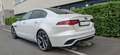 Jaguar XE XE P300 AWD Aut. Sport Weiß - thumbnail 9