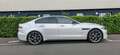 Jaguar XE XE P300 AWD Aut. Sport Weiß - thumbnail 3