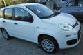 Fiat Panda Panda 1.2 Easy s OK NEOPATENTATI Bianco - thumbnail 2