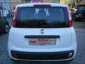 Fiat Panda Panda 1.2 Easy s OK NEOPATENTATI Bianco - thumbnail 6