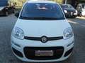 Fiat Panda Panda 1.2 Easy s OK NEOPATENTATI Bianco - thumbnail 1