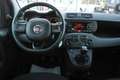 Fiat Panda Panda 1.2 Easy s OK NEOPATENTATI Bianco - thumbnail 13