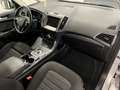 Ford S-Max S-MAX Titanium 2.0 EcoBlue SCR Aut. *AHK*Tempomat* Silber - thumbnail 22