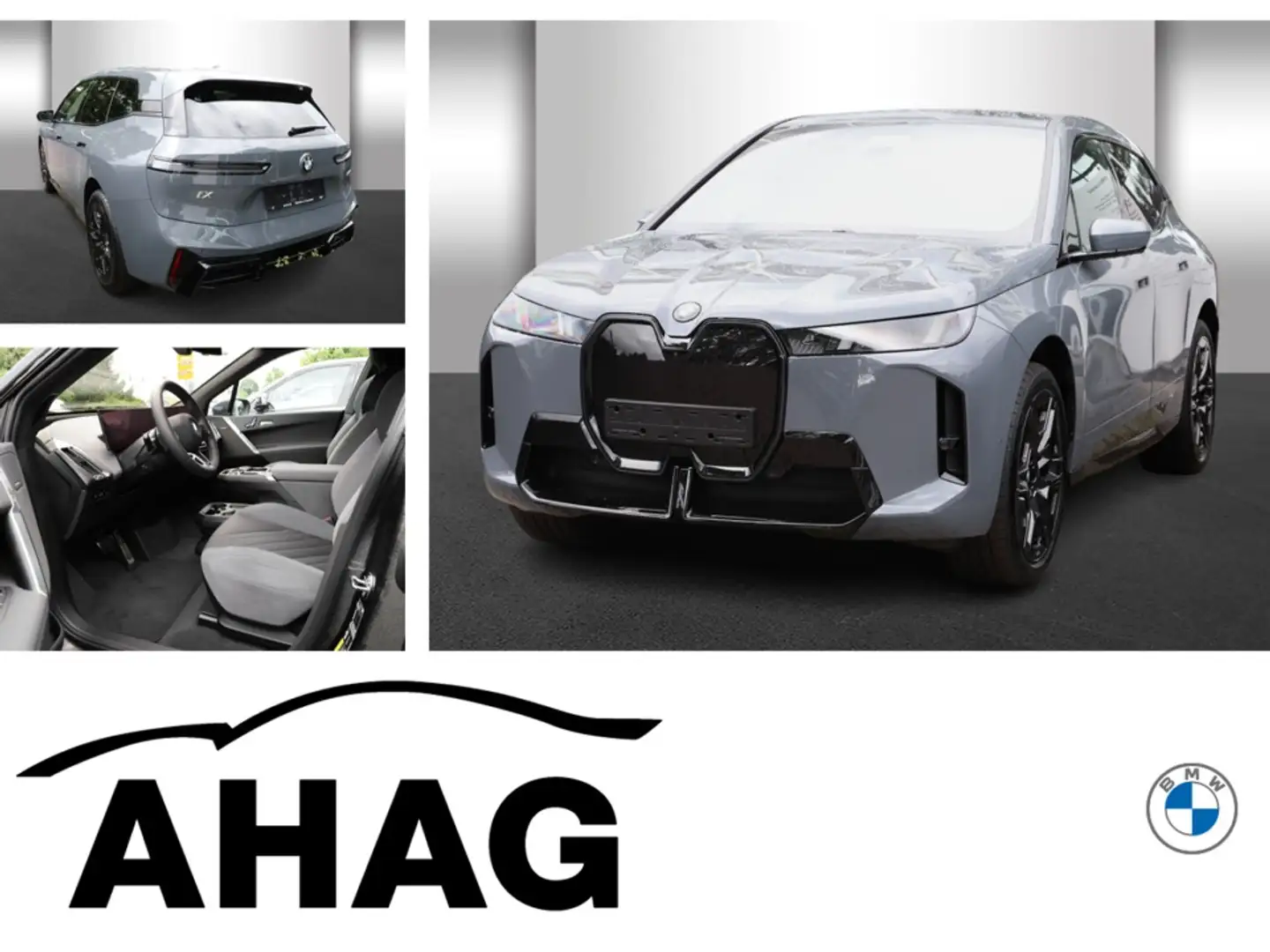 BMW iX xDrive45 M Sportpaket Innovationsp. AHK Grau - 1
