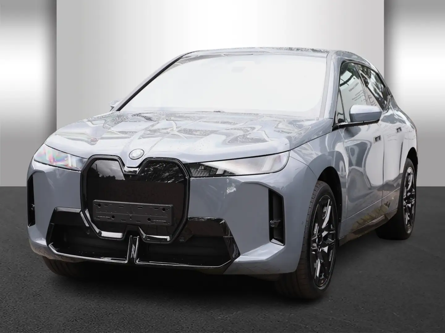 BMW iX xDrive45 M Sportpaket Innovationsp. AHK Grau - 2