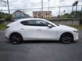 Mazda 3 3 SKYACTIV-G 2.0 M-Hybrid SELECTION Weiß - thumbnail 5