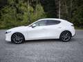 Mazda 3 3 SKYACTIV-G 2.0 M-Hybrid SELECTION Weiß - thumbnail 4