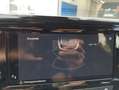 SEAT Ibiza Reference Edition 1.0 80PS Schwarz - thumbnail 17