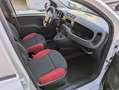 Fiat Panda 1.2 Pop Van 2 posti  km  7146 !! Bianco - thumbnail 7
