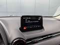 Mazda CX-3 2.0 SkyActiv-G 120 Dynamic Сірий - thumbnail 18