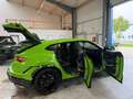 Lamborghini Urus URUS PERFORMANTE FULL CARBON B&O PANO 2025 FULLY Grün - thumbnail 12