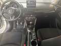 Mazda 2 Mazda2 Skyactiv G75 Homura Weiß - thumbnail 9