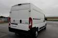 Peugeot Boxer Boxer 35 L2H2 BlueHDi 140 S&S *1.Besitz*Net.12.... Weiß - thumbnail 4