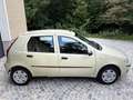 Fiat Punto 1,2 Active *Pickerl 08/27*Klima*Erstbesitz* Braun - thumbnail 6