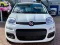 Fiat New Panda CLASSIC Wit - thumbnail 2