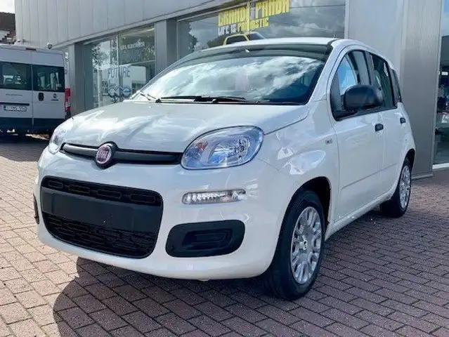 Fiat New Panda CLASSIC