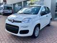Fiat New Panda CLASSIC Wit - thumbnail 9
