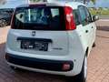 Fiat New Panda CLASSIC Wit - thumbnail 5