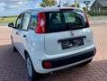 Fiat New Panda CLASSIC Wit - thumbnail 6