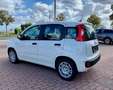 Fiat New Panda CLASSIC Wit - thumbnail 7
