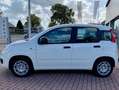 Fiat New Panda CLASSIC Wit - thumbnail 8