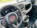 Fiat New Panda CLASSIC Wit - thumbnail 11