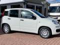 Fiat New Panda CLASSIC Wit - thumbnail 3