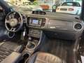 Volkswagen Beetle 2.0 TDI Cabriolet Sport|Navi|Xenon|Leder Braun - thumbnail 25