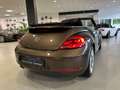 Volkswagen Beetle 2.0 TDI Cabriolet Sport|Navi|Xenon|Leder Braun - thumbnail 11