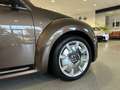 Volkswagen Beetle 2.0 TDI Cabriolet Sport|Navi|Xenon|Leder Braun - thumbnail 10