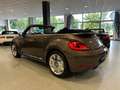 Volkswagen Beetle 2.0 TDI Cabriolet Sport|Navi|Xenon|Leder Braun - thumbnail 13
