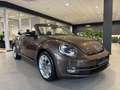 Volkswagen Beetle 2.0 TDI Cabriolet Sport|Navi|Xenon|Leder Braun - thumbnail 7