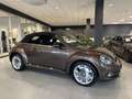 Volkswagen Beetle 2.0 TDI Cabriolet Sport|Navi|Xenon|Leder Braun - thumbnail 35