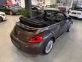Volkswagen Beetle 2.0 TDI Cabriolet Sport|Navi|Xenon|Leder Braun - thumbnail 39
