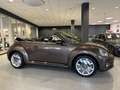 Volkswagen Beetle 2.0 TDI Cabriolet Sport|Navi|Xenon|Leder Braun - thumbnail 8