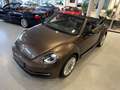 Volkswagen Beetle 2.0 TDI Cabriolet Sport|Navi|Xenon|Leder Braun - thumbnail 38