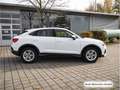Audi Q3 40 TFSI qu. S tronic Navi+/ACC Weiß - thumbnail 6