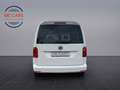 Volkswagen Caddy Kasten nur 30.000km 1.Hand ! Navi + Regale Wit - thumbnail 3