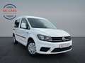 Volkswagen Caddy Kasten nur 30.000km 1.Hand ! Navi + Regale Wit - thumbnail 1