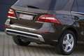 Mercedes-Benz ML 250 CDI AMG Sport Edition/AHK/Comand/ILS/19Z Braun - thumbnail 25