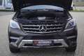 Mercedes-Benz ML 250 CDI AMG Sport Edition/AHK/Comand/ILS/19Z Braun - thumbnail 27