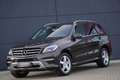 Mercedes-Benz ML 250 CDI AMG Sport Edition/AHK/Comand/ILS/19Z Braun - thumbnail 4