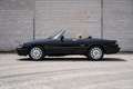 Alfa Romeo Spider Duetto Nero - thumbnail 4